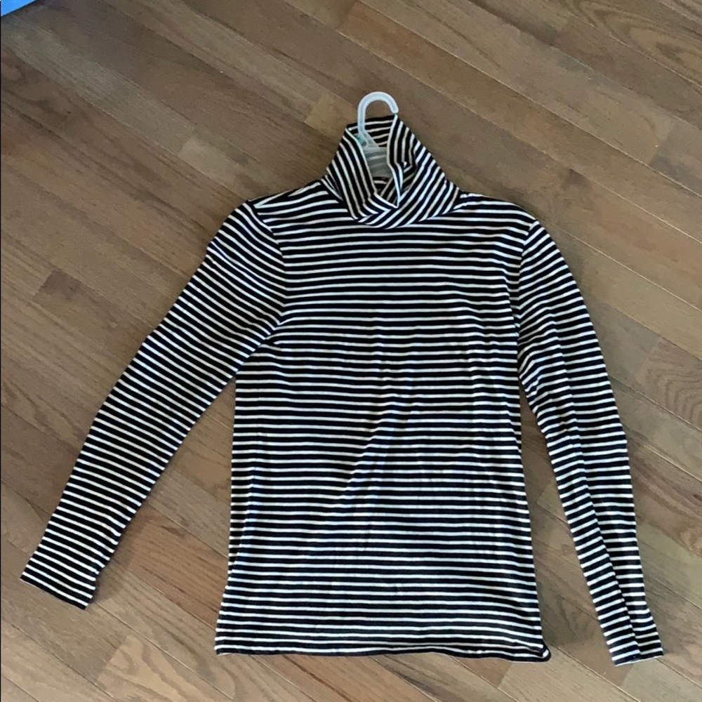 Jcrew striped turtleneck